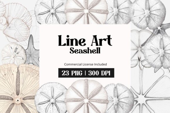 Download Line Art Seashell Clipart - Line art seashell Collection