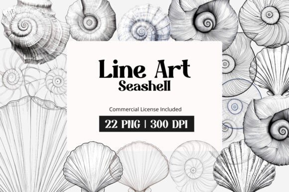 Download Line Art Seashell Clipart - Line art seashell Collection
